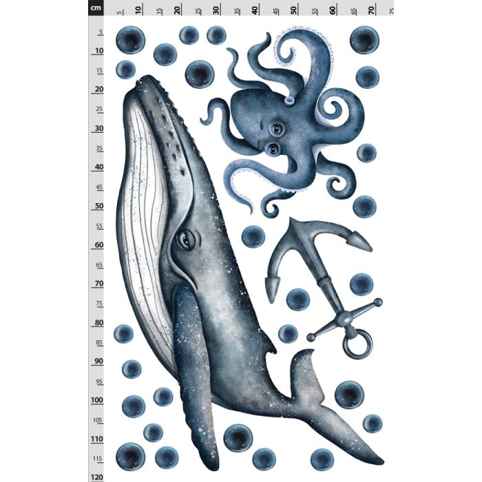 ocean velryba