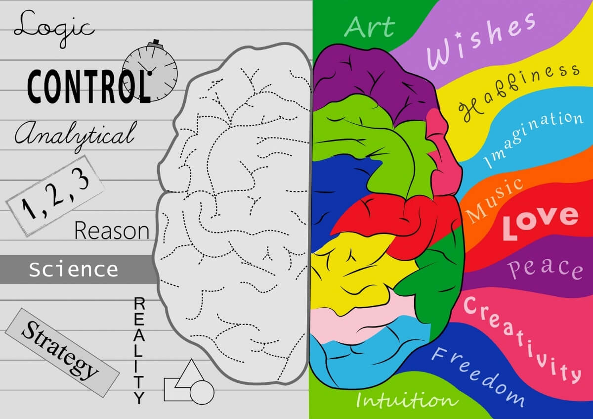 Rozdělení mozkových hemisfér na logiku a kreativitu.