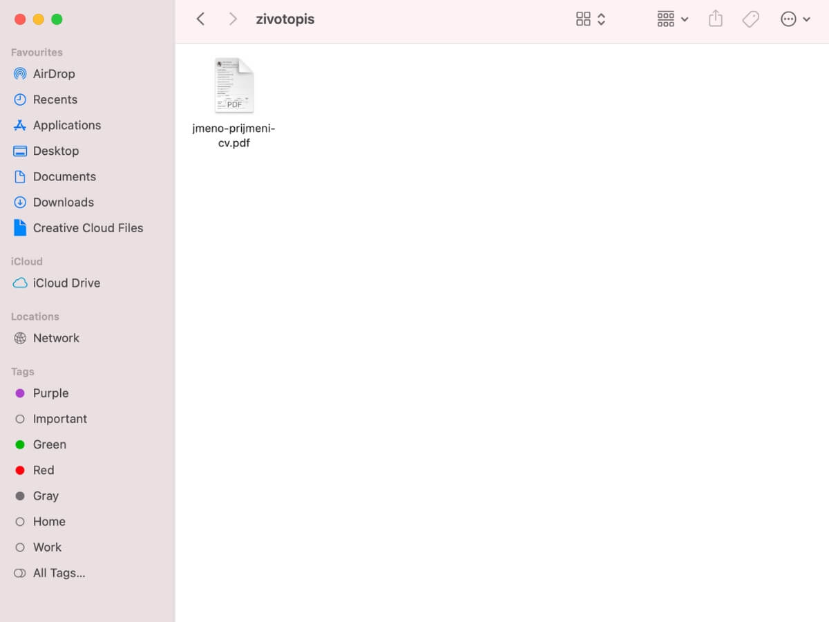 Správný název PDF souboru životopisu uložený v dokumentech.